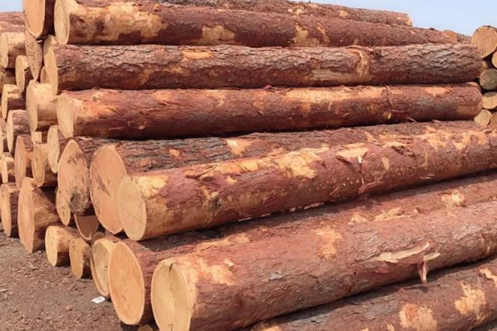 wood