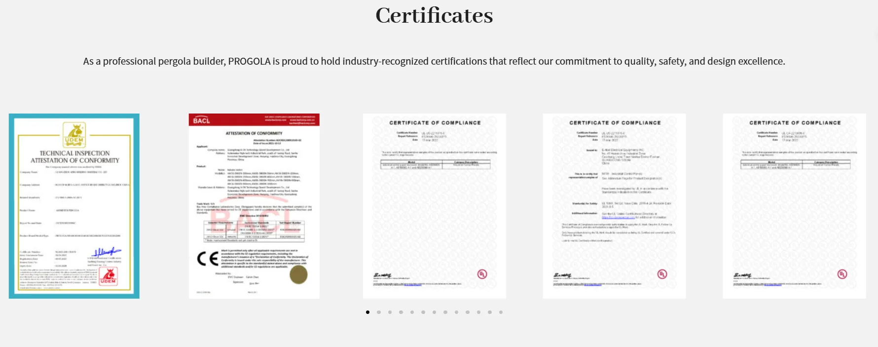 Brevetto certificato PROGOLAS