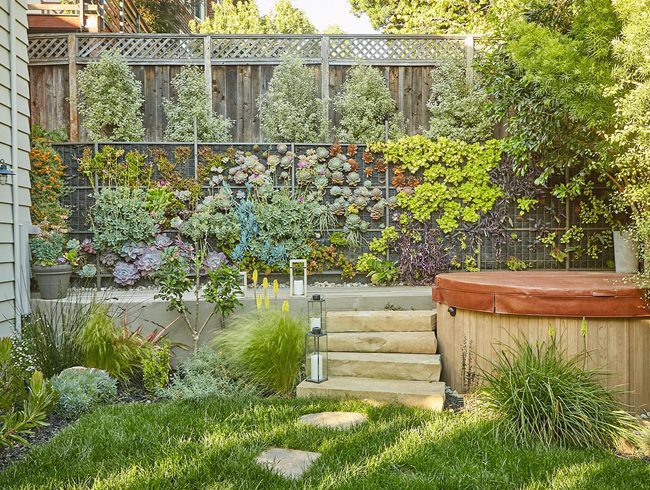 The Vertical Garden